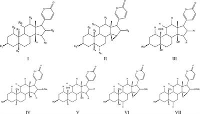 A research update on the antitumor effects of active components of Chinese medicine ChanSu